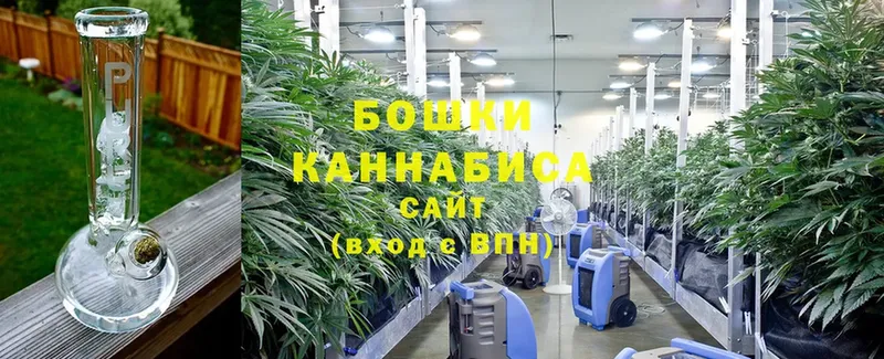 Бошки марихуана Ganja  Мосальск 